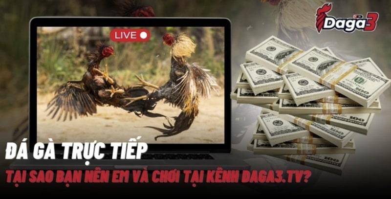 Giới thiệu về kênh đá gà trực tiếp thomo www.forexcars.in