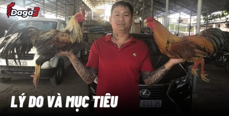 Mít Trà Cú sáng lập trang đá gà trực tiếp www.forexcars.in